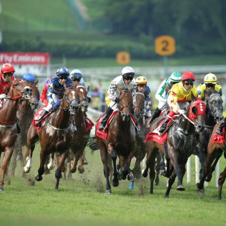 The Best Places to Bet on Horse Betting in Singapore