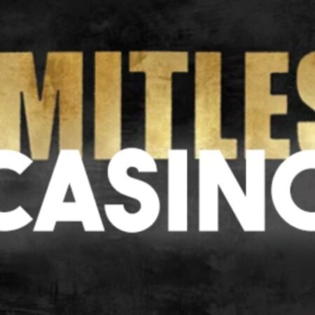 Limitless Casino Smart Review 2024- Overview | Facts | Alternatives